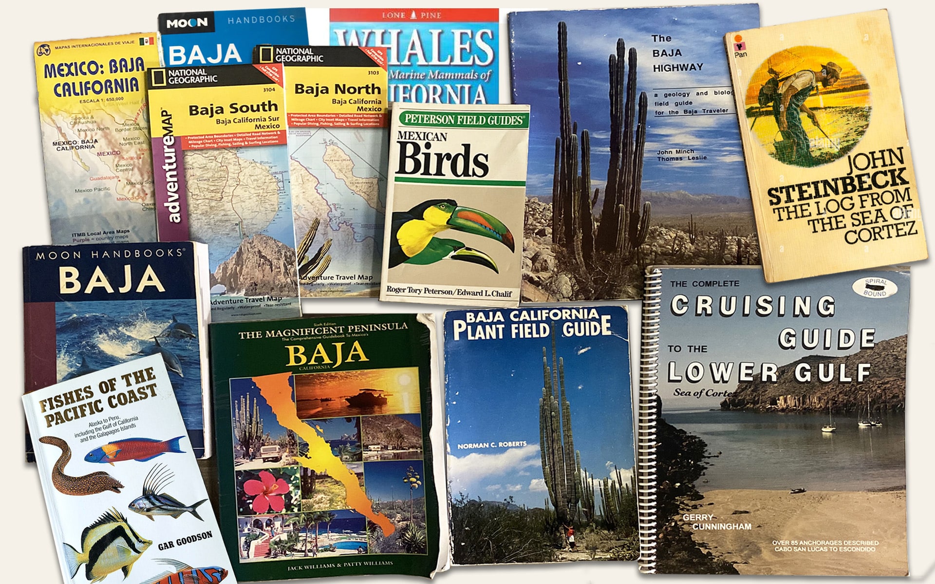 The Best Baja Books to Read Before Your Travel - Complete Reading List