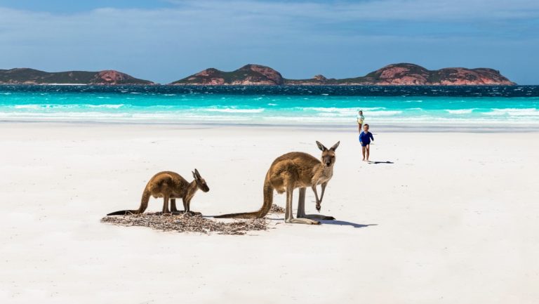 2 kids walk toward 2 kangaroos on a white-sand beach by turquoise water & distant red hills, on South Australia cruises.