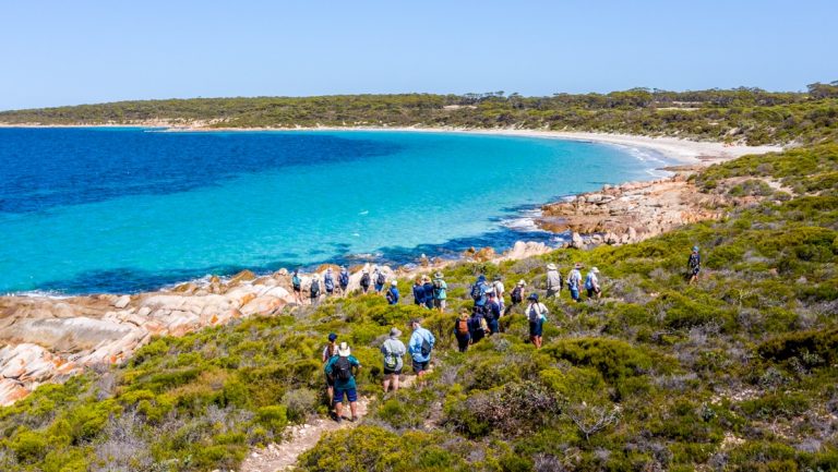 Travelers on south Australia cruises walk a sandy trail amidst green shrubs, away from white-sand beach & turquoise sea.