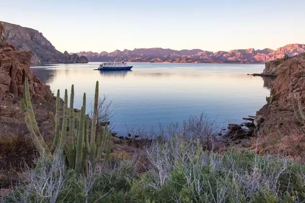 A white and navy blue colored small ship floats in a quiet bay in Baja surrounded by jagged mountains. 