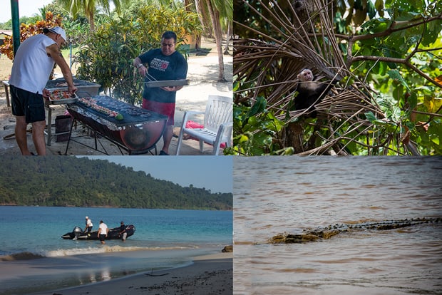 Small ship cruise staff setting up for a bbq, spider monkey playing in a palm frond, crew working with the zodiac from a beach, crocodile swimming in water.
