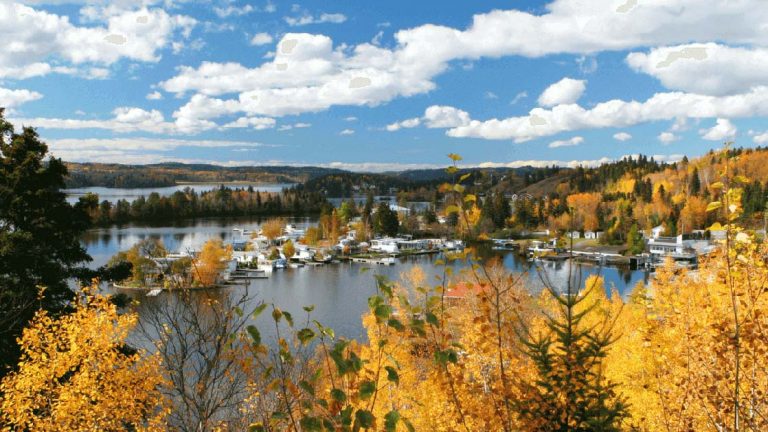 Saguenay, Quebec, Canada in fall with golden-leafed trees surrounding a calm bay, seen on a St. Lawrence River cruise.