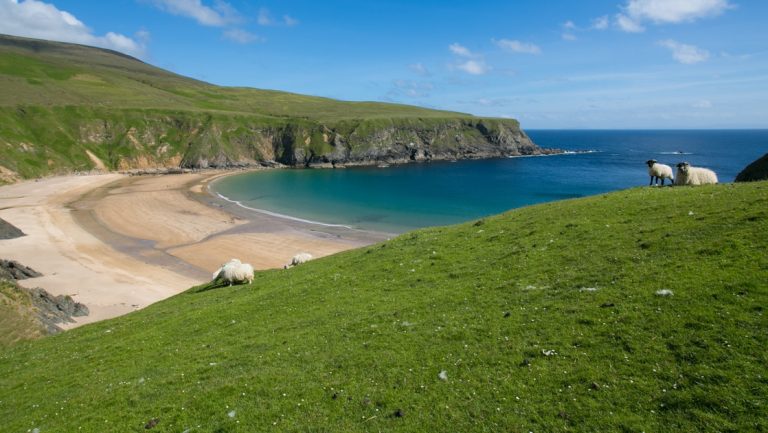 Scattered sheep graze on bright green hillsides above a white-sand beach by calm turquoise water on a sunny day.