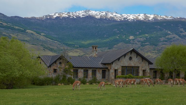 Small stone wilderness lodge of Explora Connects trip sitting in Patagonia National Park valley with guanacos grazing in front