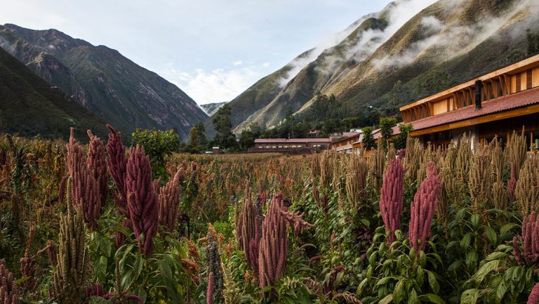 Rectangular Explora Sacred Valley Lodge in earth tones beside tall peaks & corn fields with purple flowers.