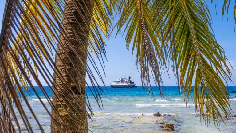 National Geographic small ship with blue hull & white upper decks sits offshore of a tropical island with white sand & palm tree.