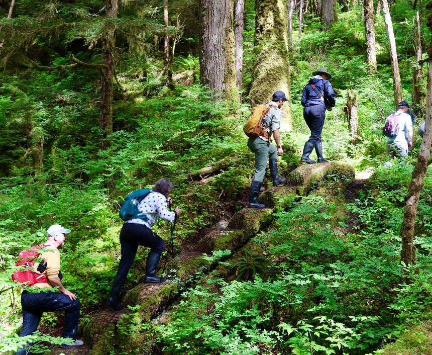 In a green forest, guests in black rubber boots, backpacks and hats go up a set of stairs during an all-day hike activity offered on their cruise.