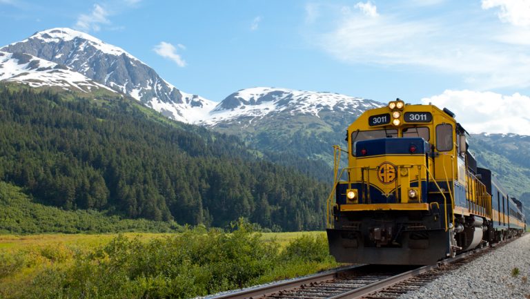 Dark blue & gold Alaska Railroad engine & cars moves through verdant green field by snowcapped peaks on an Alaska wildlife safari.