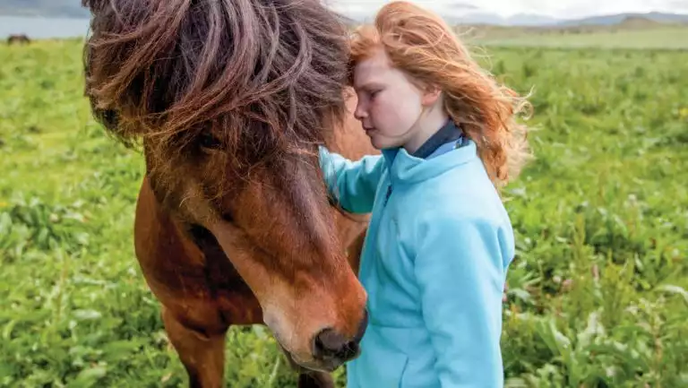 Red-headed girl in blue sweater pets brown Icelandic Horse in green field on the Gateway to The Northwest Passage cruise.