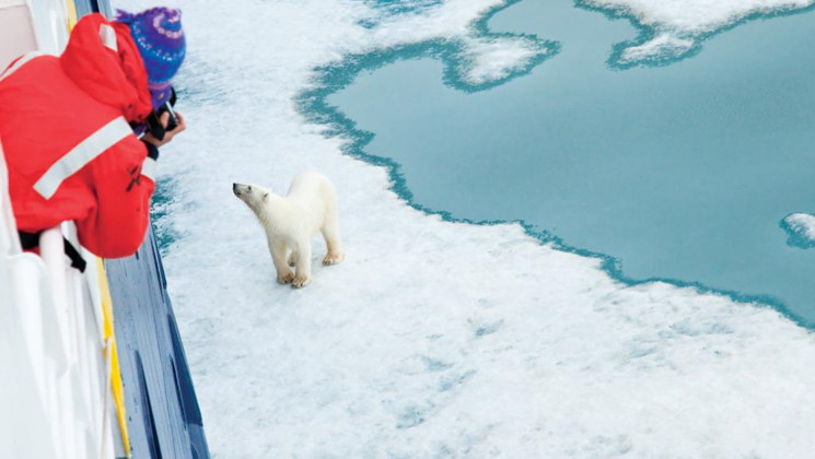 Northwest Passage traveler in red jacket & blue knitted hat stands on deck of small ship photographing polar bear on ice.
