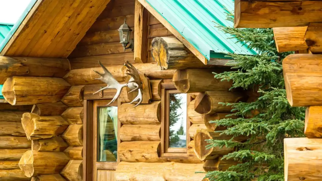 Guest cabin at Alaska's Gold Creek Lodge