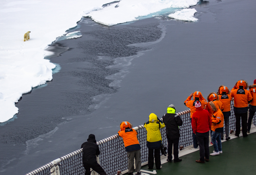 guests in orange parkas gather on ship deck watching a polar bear walk along the edge of ice sheet past the ship