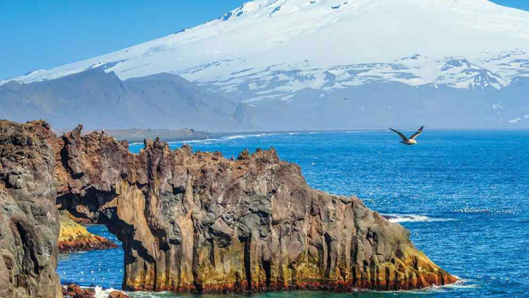 Large sea bird flies past arches of pink & tan rocks with lime green algae at their waterline, seen on a Jan Mayen cruise.