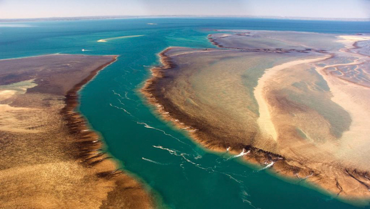 Aerial view of Montgomery Reef in Australia's Kimberley Region, with teal water & sandy shores.
