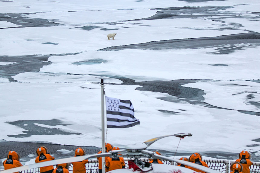 Eleven passengers on a cruise ship deck with French flag flying look out at a polar bear on the sea ice near the North Pole