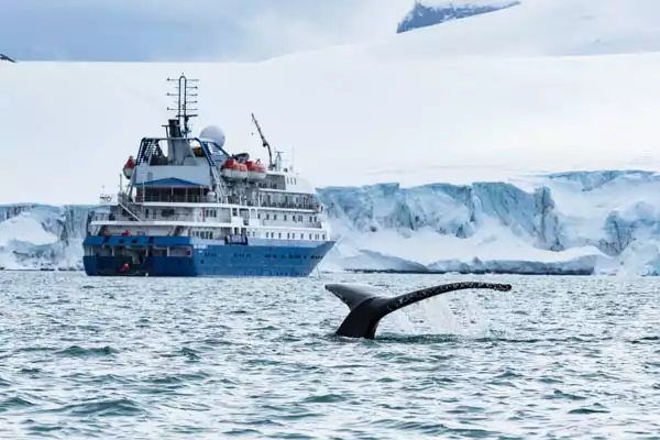 A whale fluke is seen in the foreground with a small Antarctica cruise ship seen in the water behind it near an icy glacier shoreline