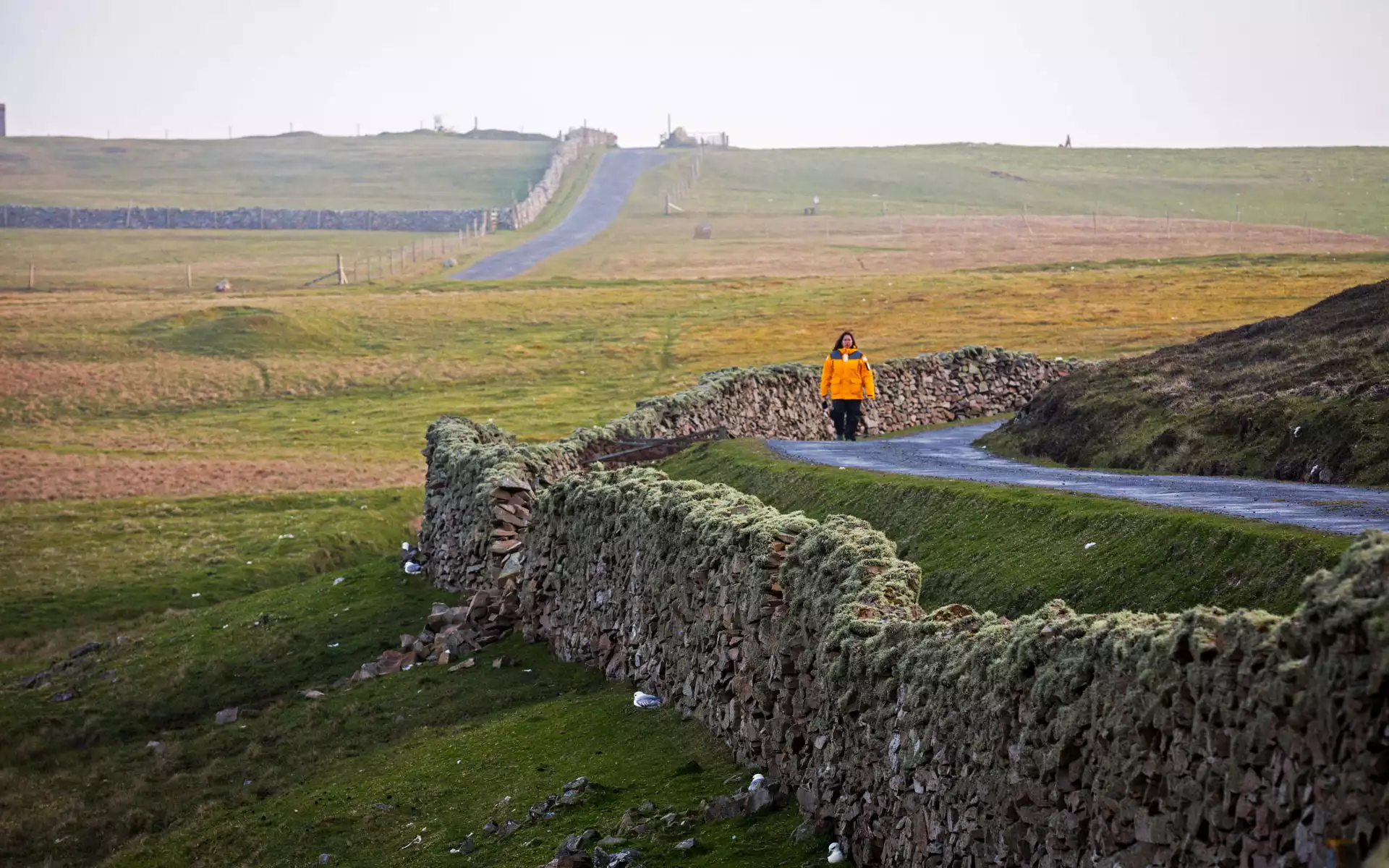 Explore Scotland's far-flung Fair Isle