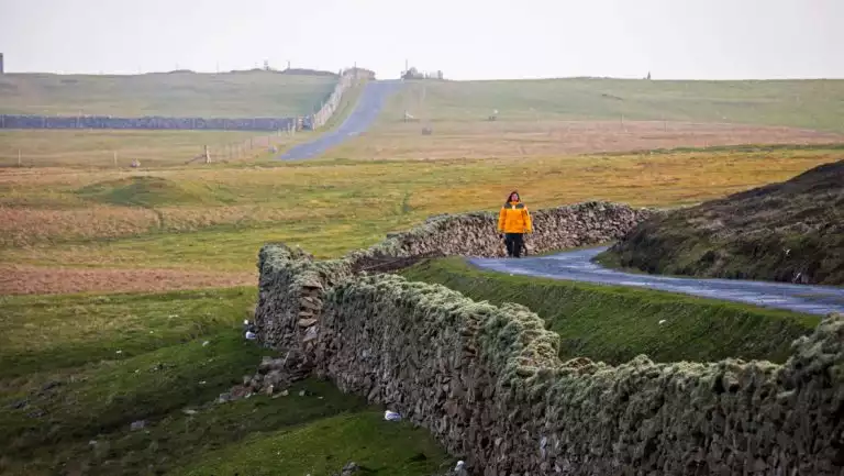 Woman in yellow parka walks a quiet dirt road lined by a stone wall with green fields surrounding on an Arctic Saga cruise.