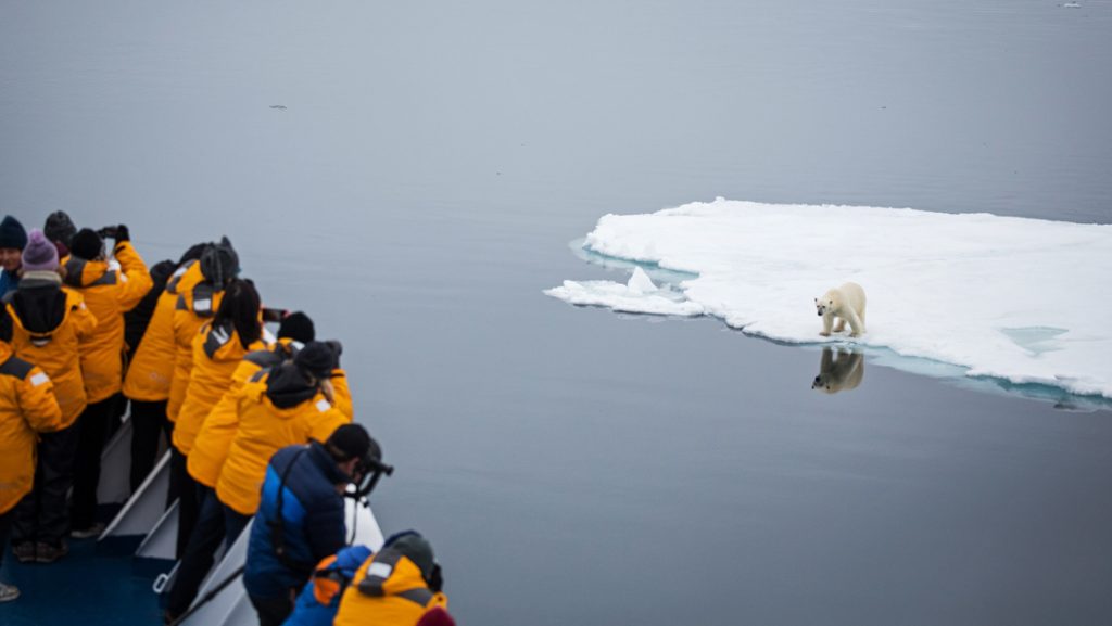 Group of Arctic travelers in yellow coats stand on deck of ship photographing a polar bear on a nearby iceberg in Svalbard.