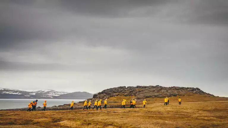 Hikers on a Four Arctic Islands cruise walk in a line across golden tundra under cloudy skies with sea & mountains behind.