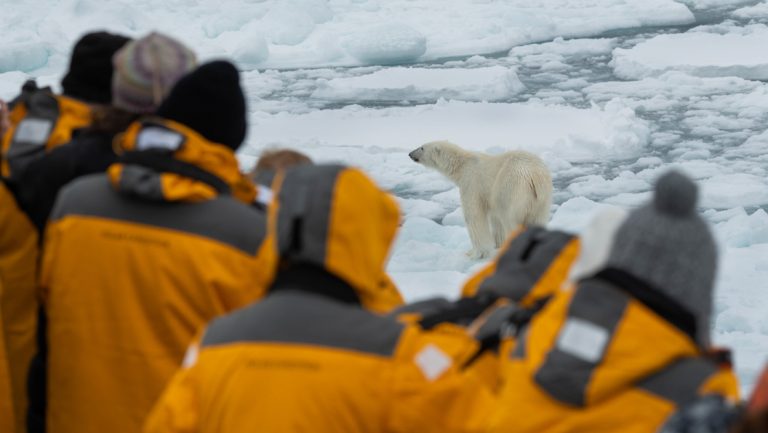 Travelers in yellow coats stand on deck of ship watching polar bear on an iceberg, seen on the Four Arctic Islands cruise.