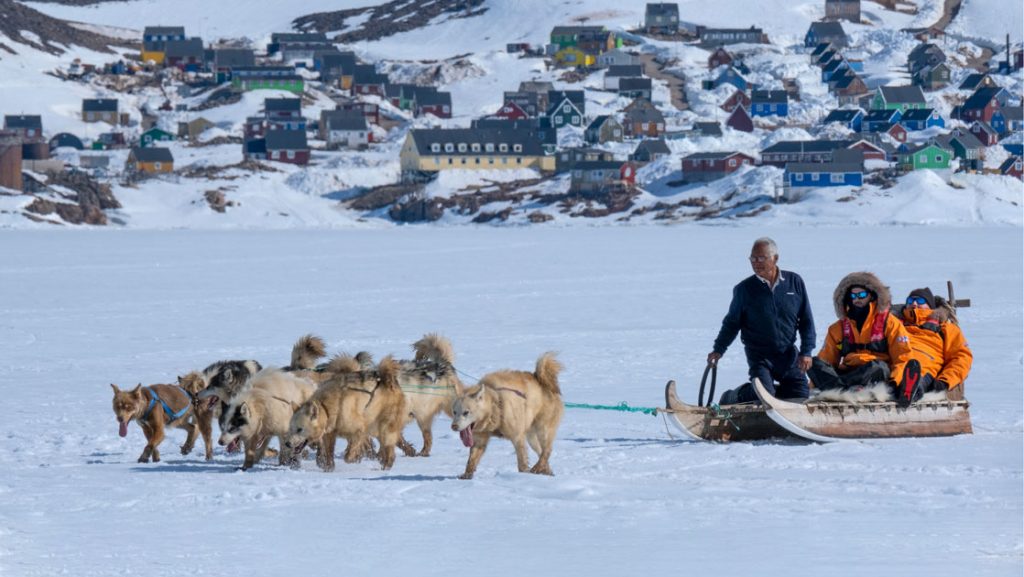Dog sled with Inuit man & 2 Greenland travelers in orange parkas is pulled across snow by a team of dogs with thick white fur.