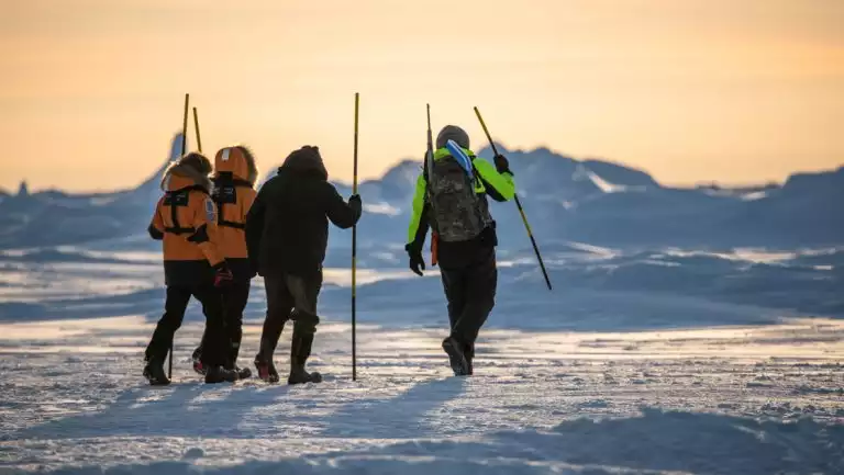 Charcot North Pole travelers in orange coats walk with long sticks over ice & snow, led by guide in neon & black coat at dusk.