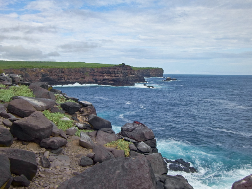 tall volcanic-cliffs topped with flat green flora lead to blue ocean with white waves crashing against them in the Galapagos.