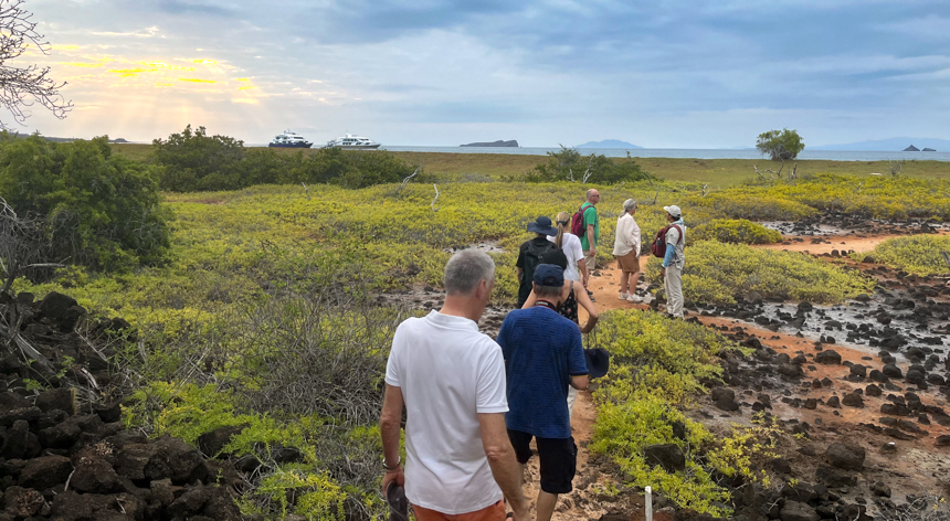 Group of travelers walk along green brush and black volcanic rocks on island hike in Galapagos, Elite and Endemic ships float in distance.