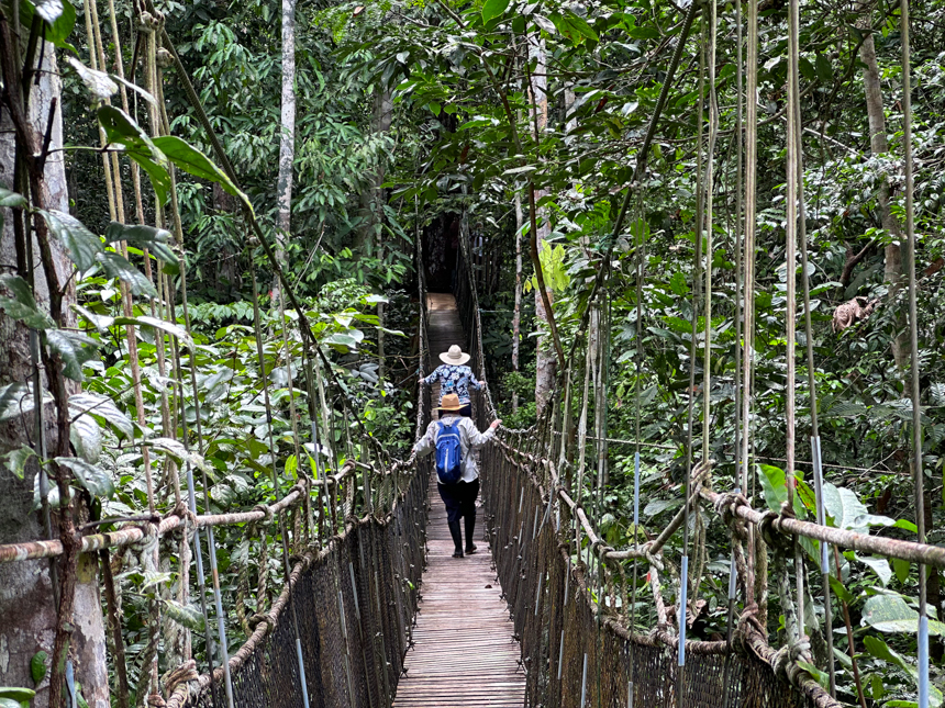 Two women wearing wide brimmed hats walk down a suspension bridge through the canopy of the Peruvian Amazon.