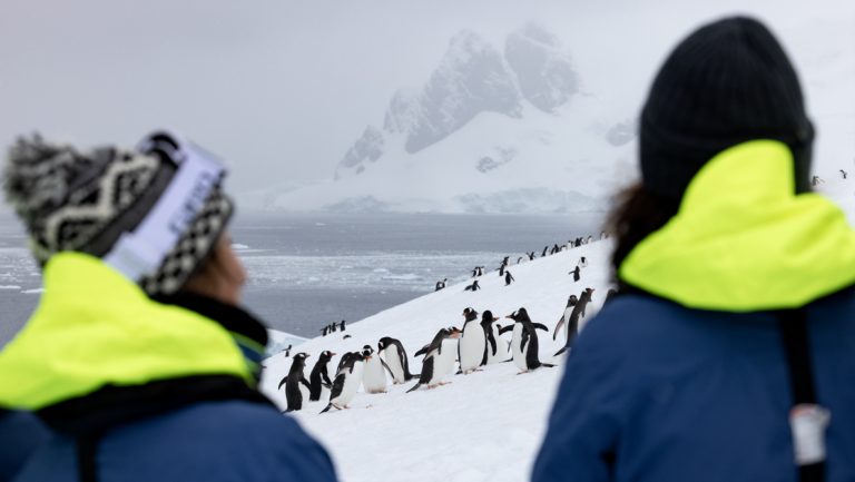 2 Intrepid Best of Antarctica travelers in blue jackets with bright yellow hoods stand in snow near a large group of penguins.