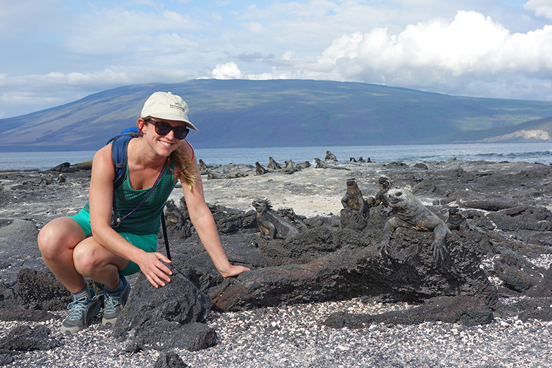 A traveler in a green shirt and tan AdventureSmith logo hat kneels on lava rocks next to a group of Galapagos marine iguanas
