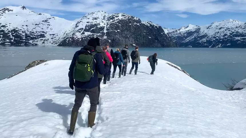 a group of Alaska cruise travelers hike in a line down a snowy hillside with views of glacier bay and snow covered mountains. 