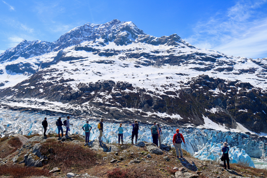 During a Glacier bay cruise guests hike to the top of a lookout for a sweeping birds eve view of Lamplugh glacier.