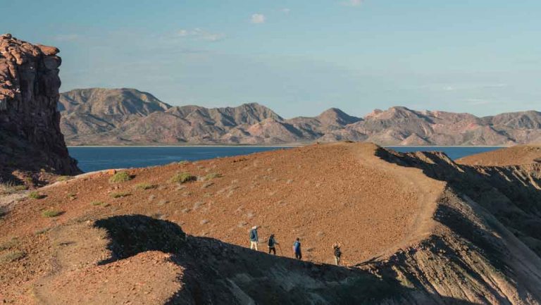 4 hikers walk a sandy, red-rock ridgeline with a bay in the distance on a sunny day on a Northern Gulf of California cruise.