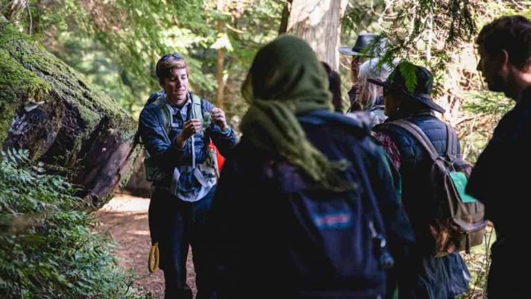 Female guide talks about plants as travelers look on during a small group hike in dense forest with mossy rocks.