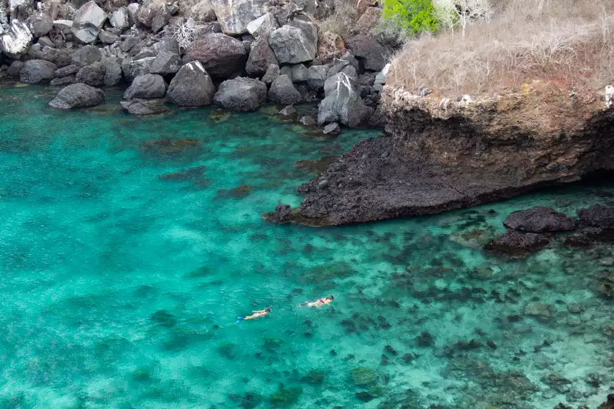 A photo from above looking down and over two women snorkeling in crystal teal water of Galapagos. 