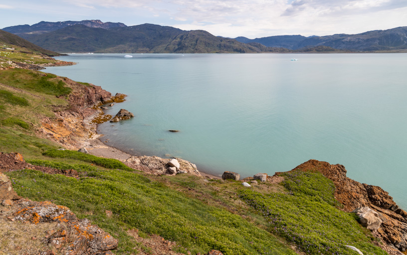 Seen on a Greenland cruise lush green hillsides and pastures lead to teal waters in the lush southern region
