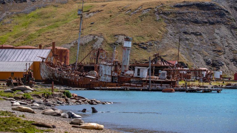 Large rusted & abandoned ship at Stromness, South Georgia Island, sits among grassy hills & rusted out whaling buildings.