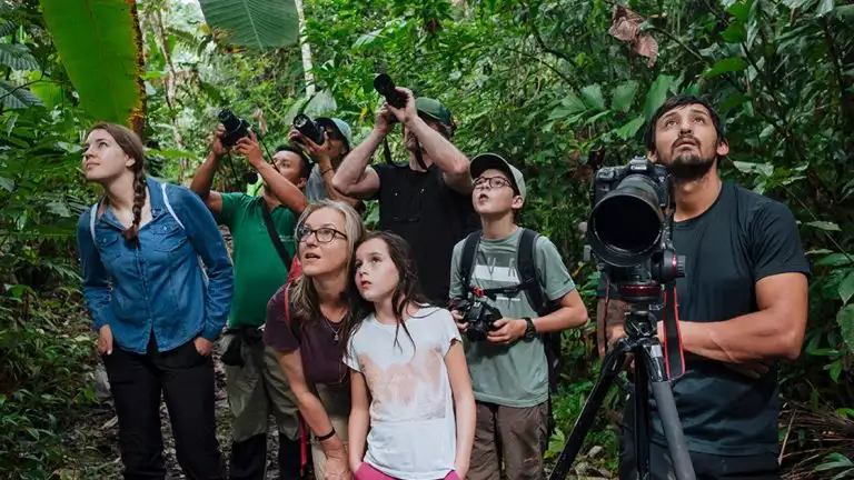 Guests with cameras in hand and one large commerical camera look up at the wonders of the amazon in aw