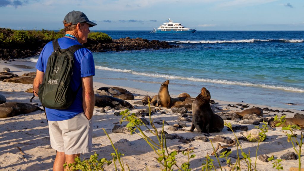 Man on Cormorant II Galapagos cruise stands on beach among sea lions in the evening as small waves lap the shore & ship sits beyond.