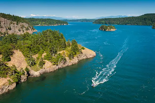 cruise to pacific northwest