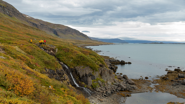 Ultimate Arctic Voyage travelers in yellow jackets hike a grassy hillside by a waterfall overlooking a calm fjord under clouds.