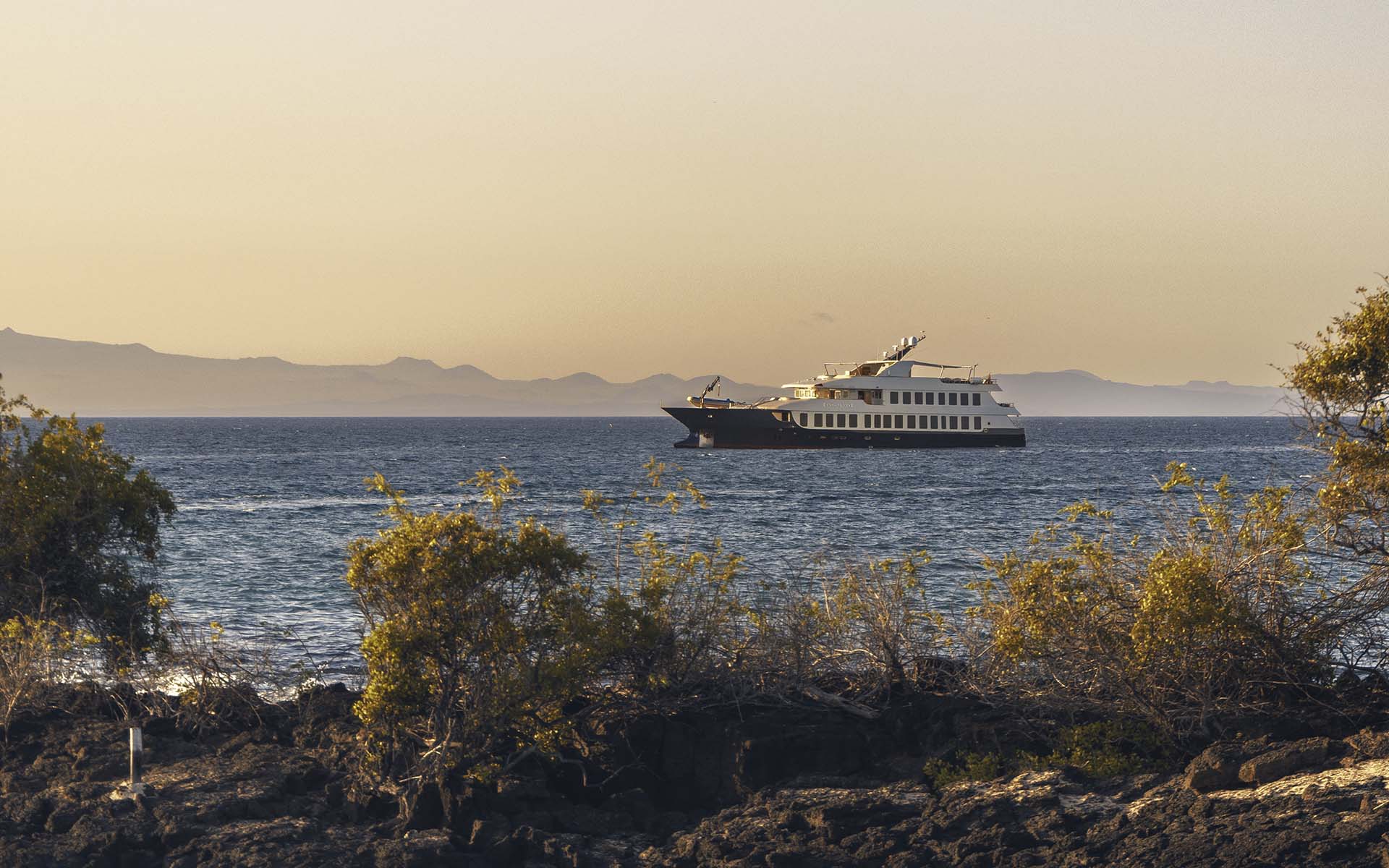 A new blue-hulled Galapagos cruise ship seen on the water with bushes in the foreground and mountains behind it.