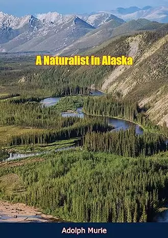 Book cover of A Naturalist in Alaska by Adolph Murie