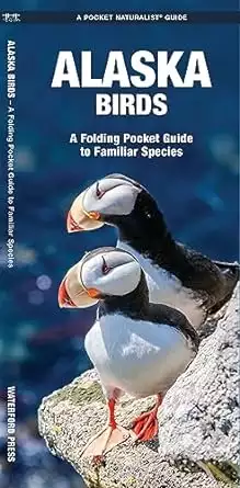 Pocket guide cover of Alaska Birds: A Folding Pocket Guide to Familiar Species by James Kavanagh