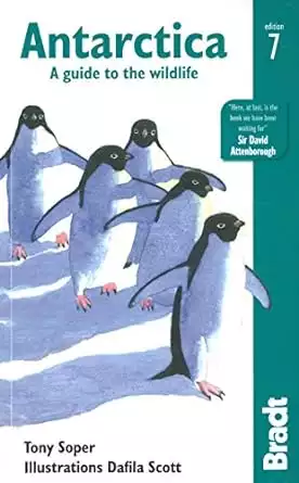 Antarctica guide book cover of Antarctica: A Guide to the Wildlife by Tony Soper