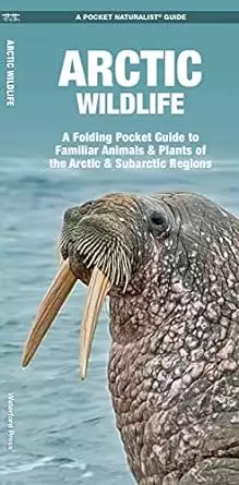 A picture of Arctic Wildlife: A Folding Pocket Guide to Familiar Animals & Plants of the Arctic and Subarctic Regions