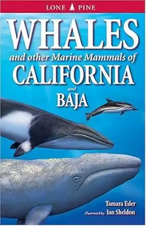 Book cover of Whales and Other Marine Mammals of California and Baja by Tamara Eder showing two large whales and a porpoise in a blue sea.  