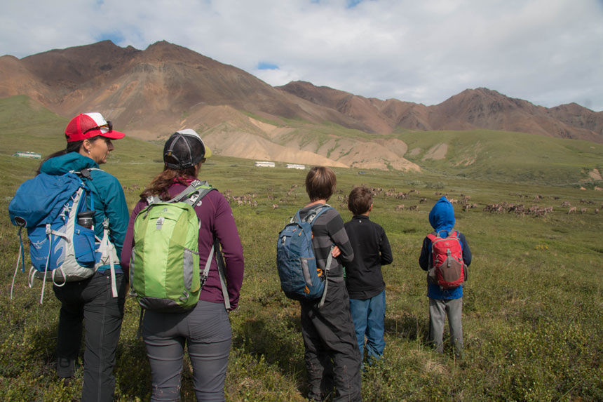 A family of two adults and three children facing toward a green valley viewing a herd of caribou. 